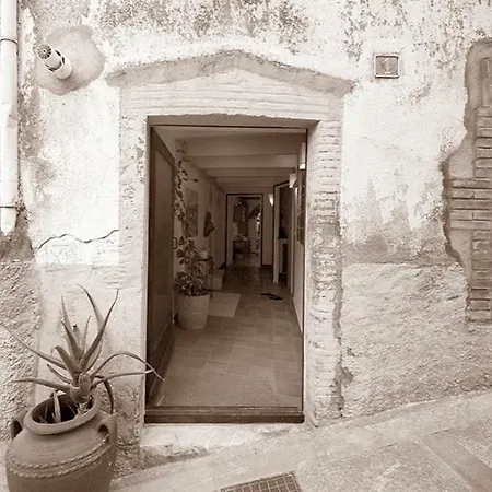 Ca La Teia
