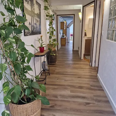 Ca La Teia Apartment Bellcaire d'Emporda